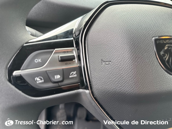 Peugeot PARTNER FOURGON M 1000 KG BLUEHDI 130 S&S BVM6 DANGEL TREK 4X2