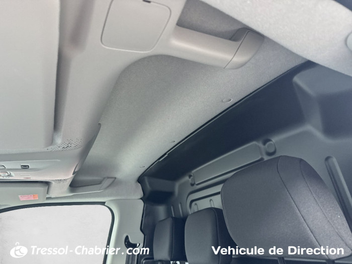 Peugeot PARTNER FOURGON M 1000 KG BLUEHDI 130 S&S BVM6 DANGEL TREK 4X2
