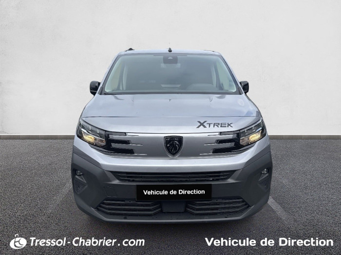 Peugeot PARTNER FOURGON M 1000 KG BLUEHDI 130 S&S BVM6 DANGEL TREK 4X2