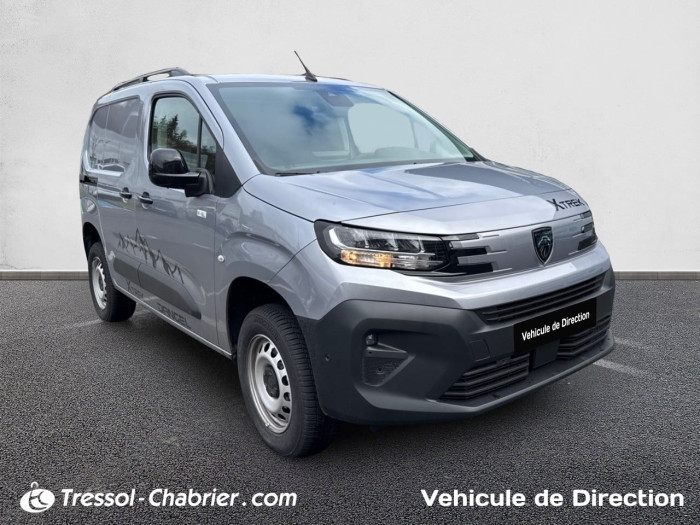 Peugeot PARTNER FOURGON M 1000 KG BLUEHDI 130 S&S BVM6 DANGEL TREK 4X2