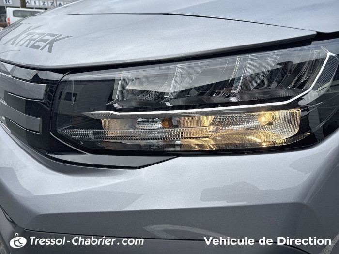 Peugeot PARTNER FOURGON M 1000 KG BLUEHDI 130 S&S BVM6 DANGEL TREK 4X2