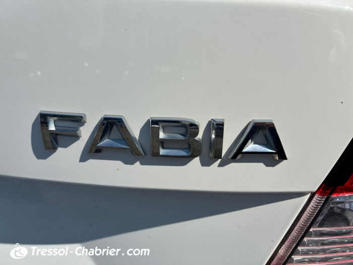Skoda FABIA 1.4 TDI 90 CR FAP BVM5 Clever