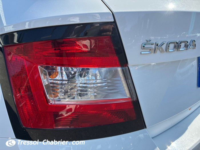 Skoda FABIA 1.4 TDI 90 CR FAP BVM5 Clever