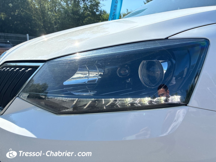 Skoda FABIA 1.4 TDI 90 CR FAP BVM5 Clever