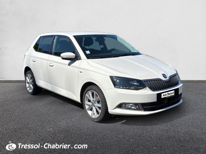 Skoda FABIA 1.4 TDI 90 CR FAP BVM5 Clever