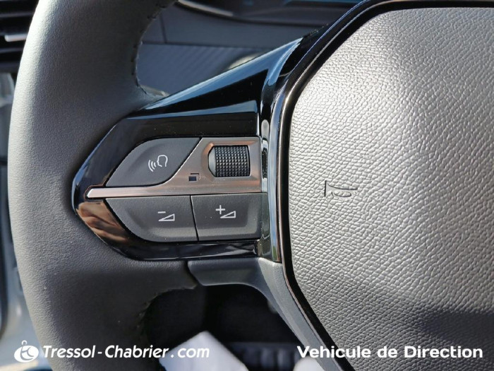 Peugeot 208 Nouvelle Hybrid 110 ch e-DCS6 Edition