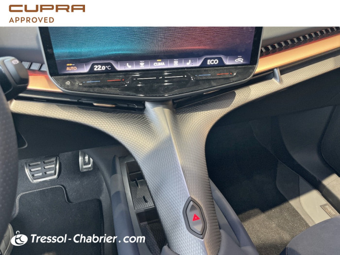 Cupra TAVASCAN Nouveau 286 ch V