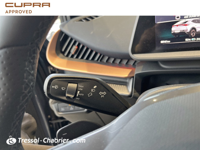 Cupra TAVASCAN Nouveau 286 ch V