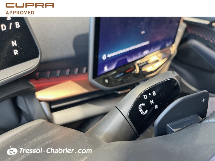 Cupra TAVASCAN Nouveau 286 ch V