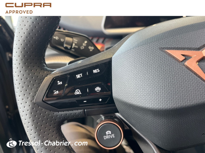 Cupra TAVASCAN Nouveau 286 ch V
