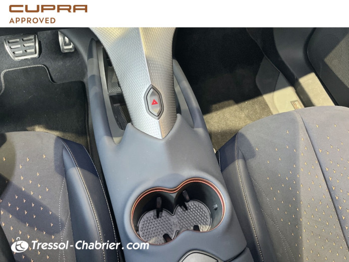 Cupra TAVASCAN Nouveau 286 ch V