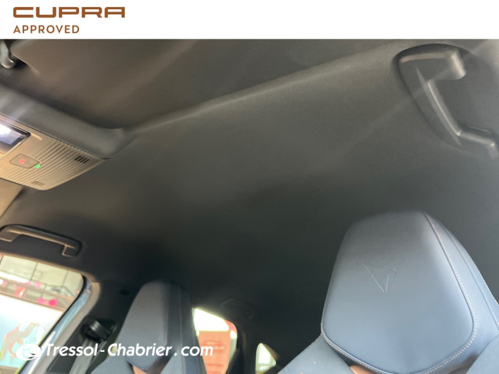Cupra TAVASCAN Nouveau 286 ch V