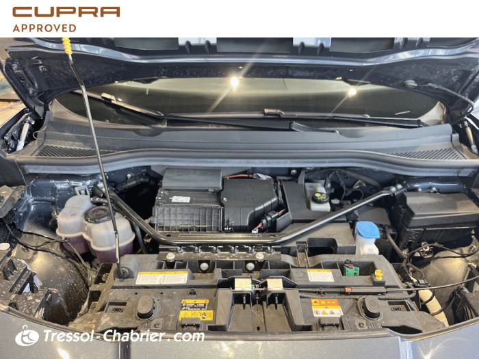 Cupra TAVASCAN Nouveau 286 ch V