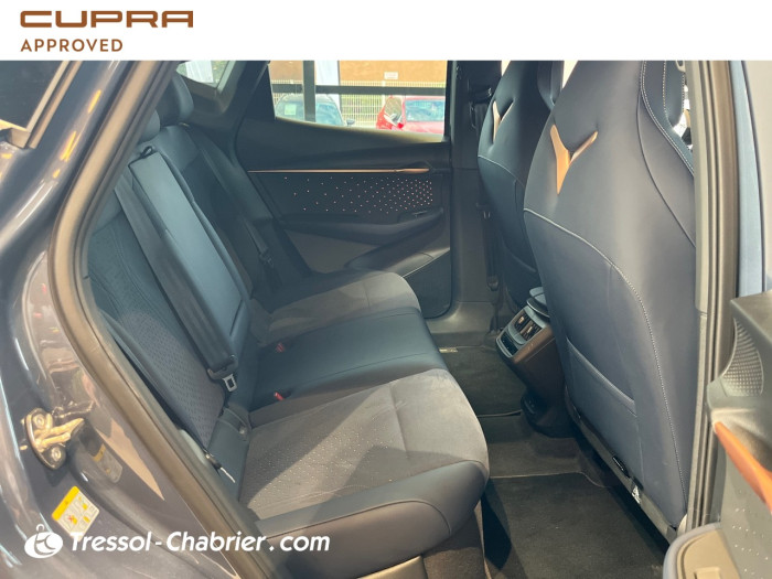 Cupra TAVASCAN Nouveau 286 ch V