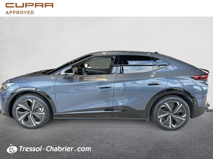 Cupra TAVASCAN 286 ch V