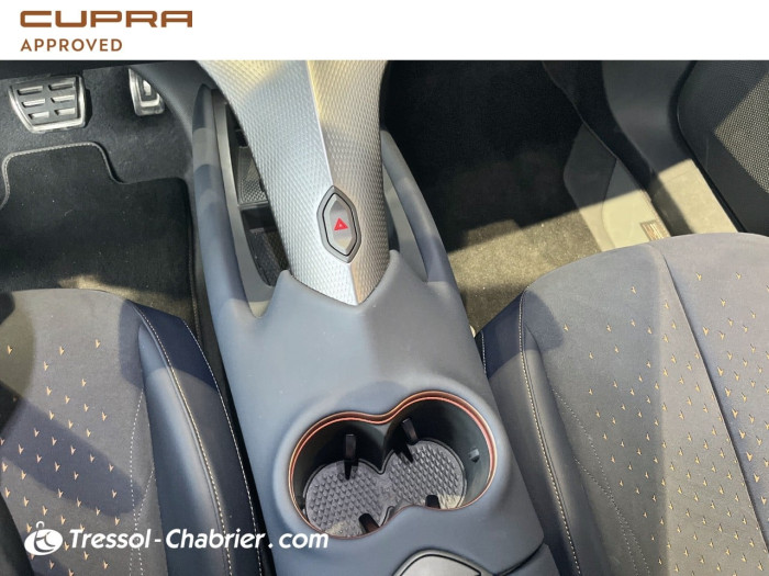 Cupra TAVASCAN 286 ch V