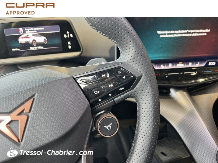 Cupra TAVASCAN 286 ch V