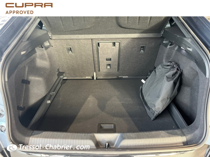 Cupra TAVASCAN 286 ch V
