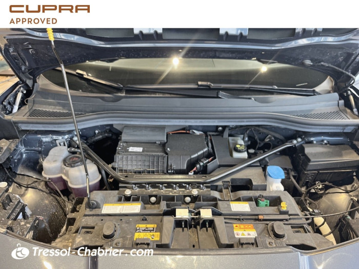 Cupra TAVASCAN 286 ch V