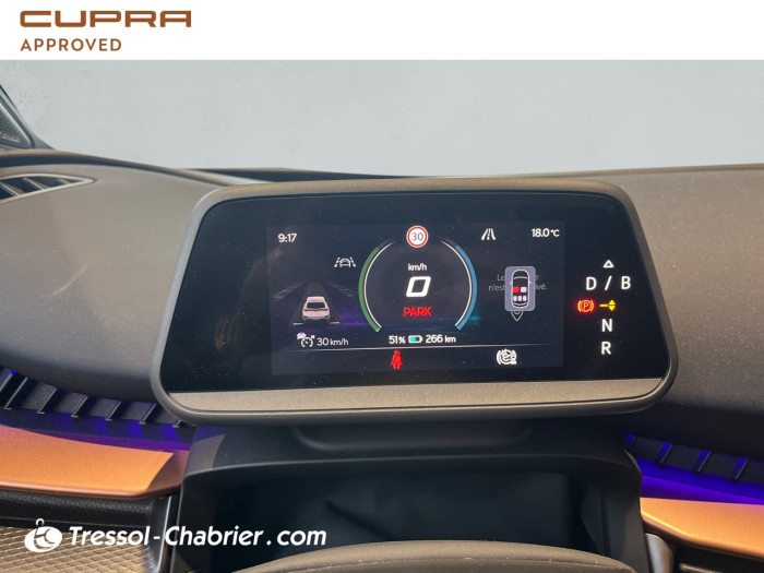 Cupra TAVASCAN 286 ch V