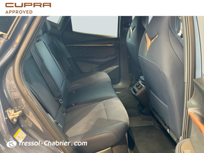 Cupra TAVASCAN 286 ch V