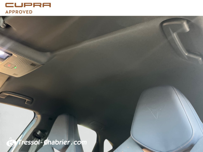 Cupra TAVASCAN 286 ch V