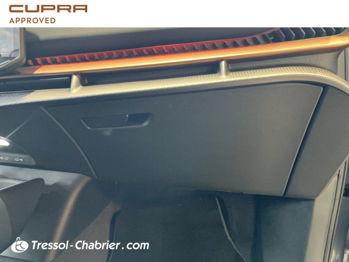 Cupra TAVASCAN 286 ch V
