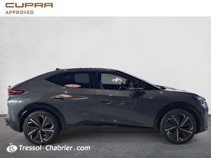 Cupra TAVASCAN 286 ch V
