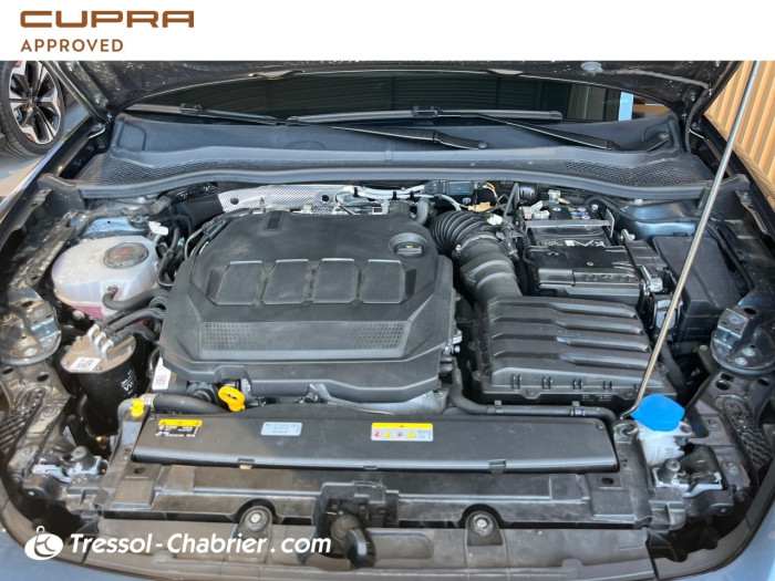 Cupra LEON Nouveau 2.0 TDI 150 ch DSG7 V
