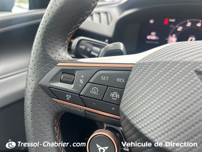 Cupra TERRAMAR Nouveau 1.5 eTSI Hybrid 150 ch DSG7 V