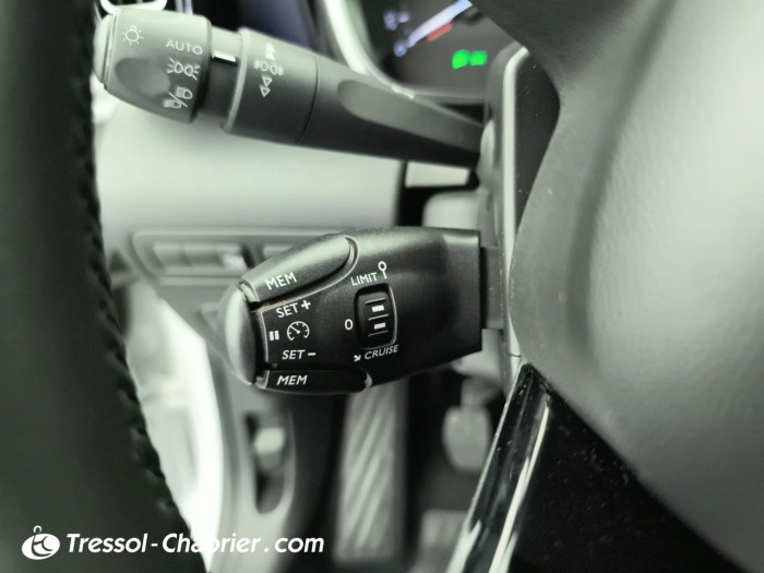 Citroën C3 AIRCROSS PureTech 110 S&S BVM6 Rip Curl