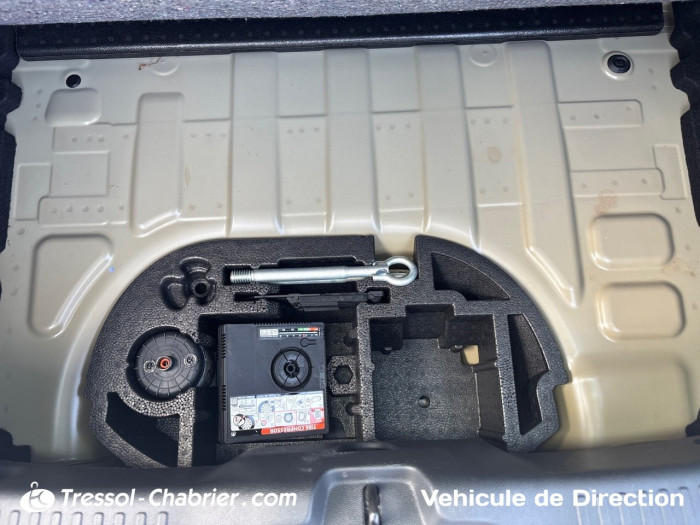 Citroën E-C3 113 ch You