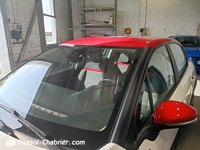 Citroën C3 PureTech 110 S&S BVM6 Graphic