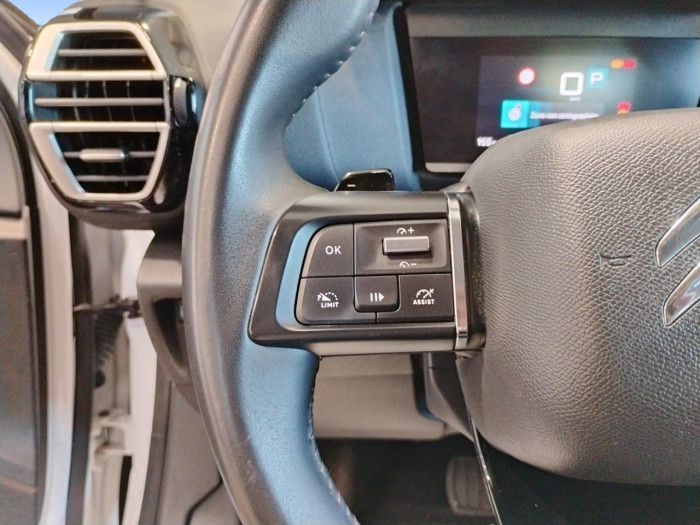 Citroën C4 SOCIETE BLUEHDI 130 S&S EAT8 FEEL NAV BUSINESS R