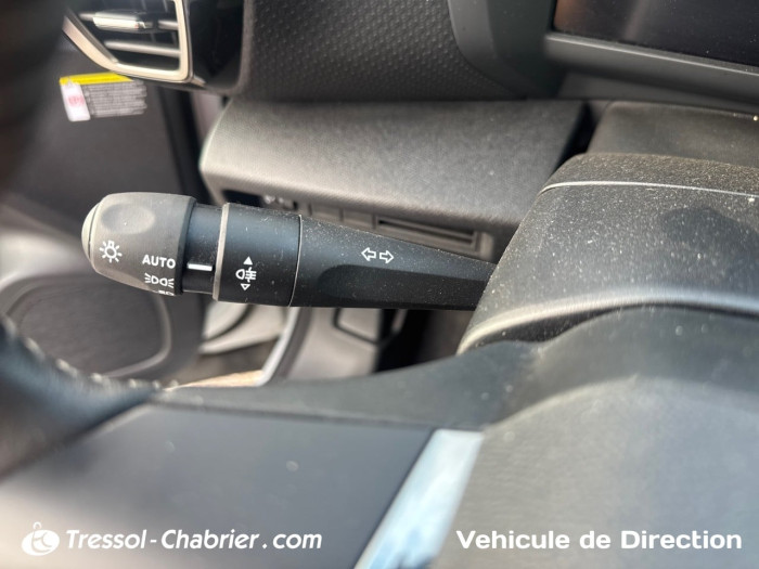 Citroën E-C4 Nouveau 156 ch autonomie étendue Collection