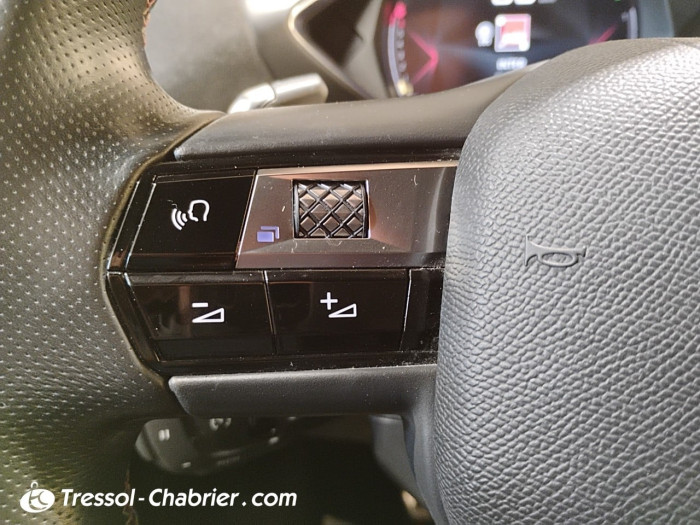 DS DS 3 Crossback DS3 Crossback PureTech 130 EAT8 Performance Line+