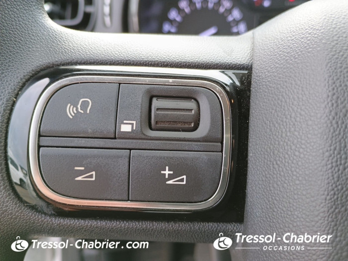 Citroën C3 BlueHDi 100 BVM6 You