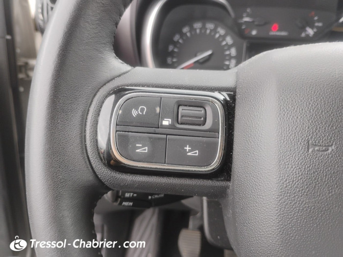 Citroën C3 AIRCROSS PureTech 110 S&S BVM6 Sunshine