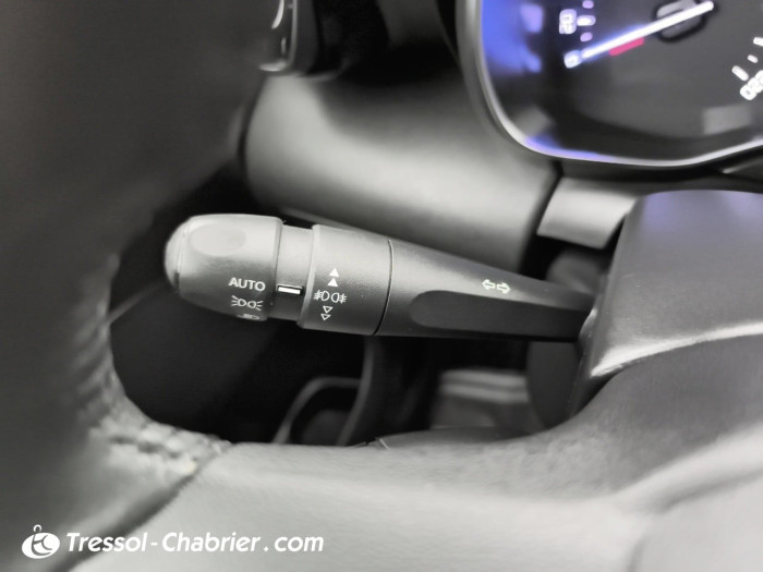 Citroën C3 AIRCROSS PureTech 110 S&S BVM6 Sunshine