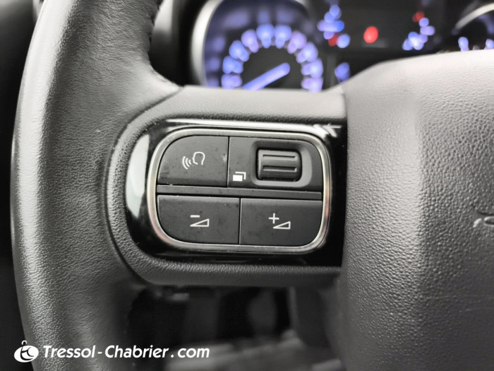 Citroën C3 AIRCROSS PureTech 110 S&S BVM6 Sunshine