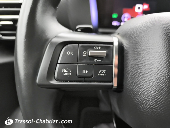 Citroën C4 PureTech 130 S&S EAT8 Shine Pack