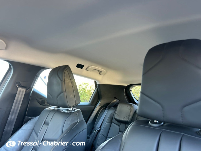 DS DS 3 CROSSBACK BUSINESS BlueHdi 100 S&S BVM6 Business