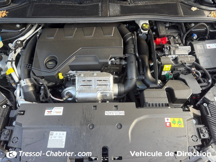 DS N°4 HYBRIDE Nouveau Rechargeable 225 DCT7 Etoile - Alcantara
