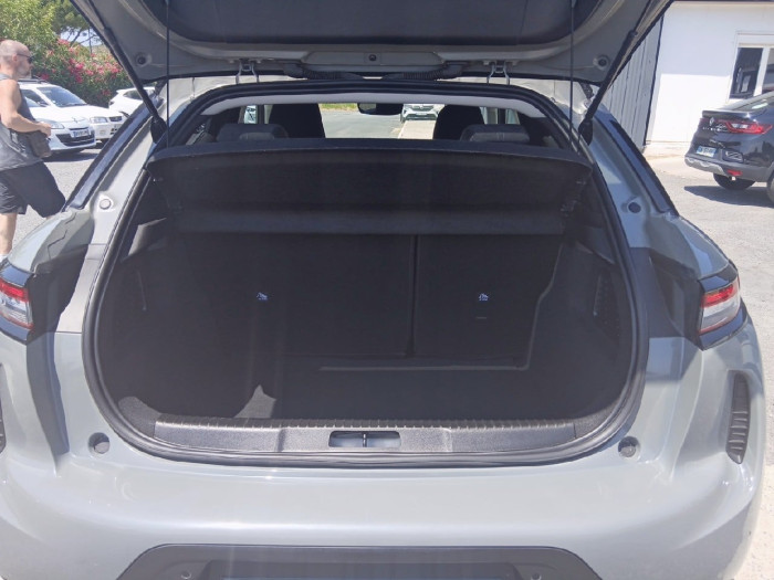 DS DS 3 PureTech 100 BVM6 Performance Line