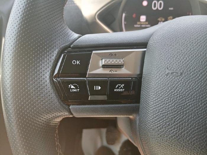 DS DS 3 PureTech 100 BVM6 Performance Line