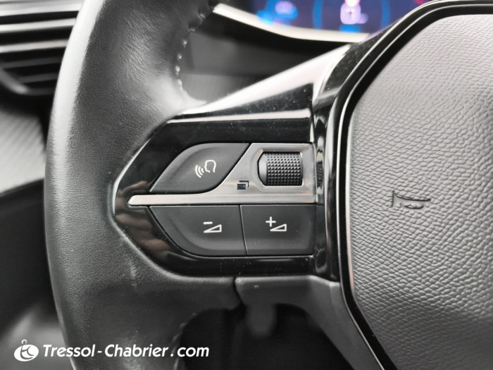 Peugeot 2008 BlueHDi 100 S&S BVM6 Allure