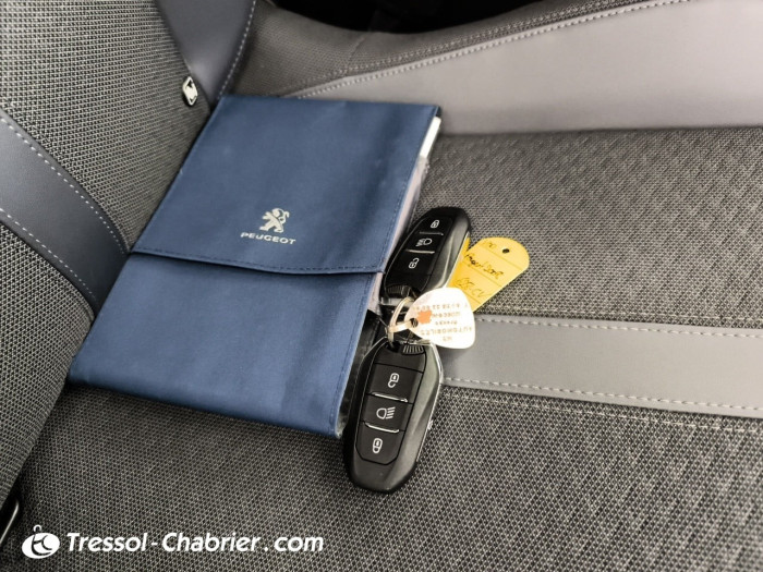 Peugeot 2008 BlueHDi 100 S&S BVM6 Allure