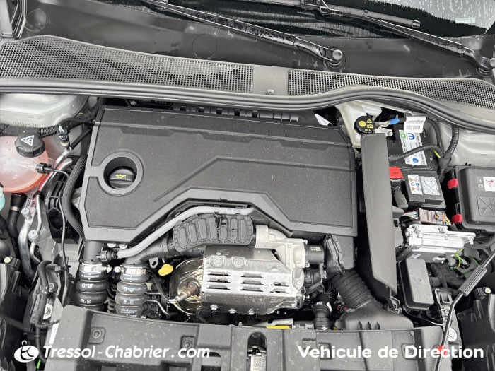 Jeep Avenger 1.2 Turbo T3 100 ch e-Hybrid BVR6 Altitude