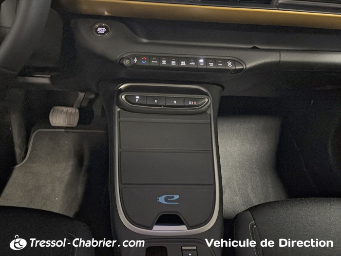 Jeep AVENGER ELECTRIQUE 115 kW 4x2 Summit