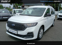 Ford GRAND TOURNEO CONNECT 2.0 EcoBlue 102 BVM6 Titanium